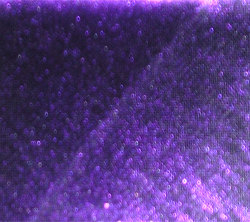 purple Cape Material